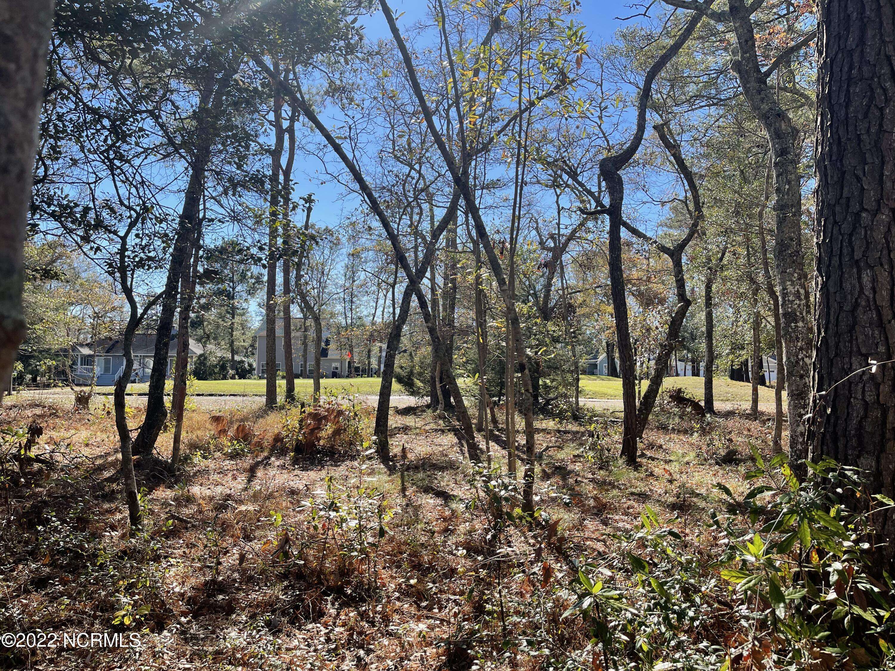 Ocean Isle Beach, NC 28469,1643 Deerfield DR SW