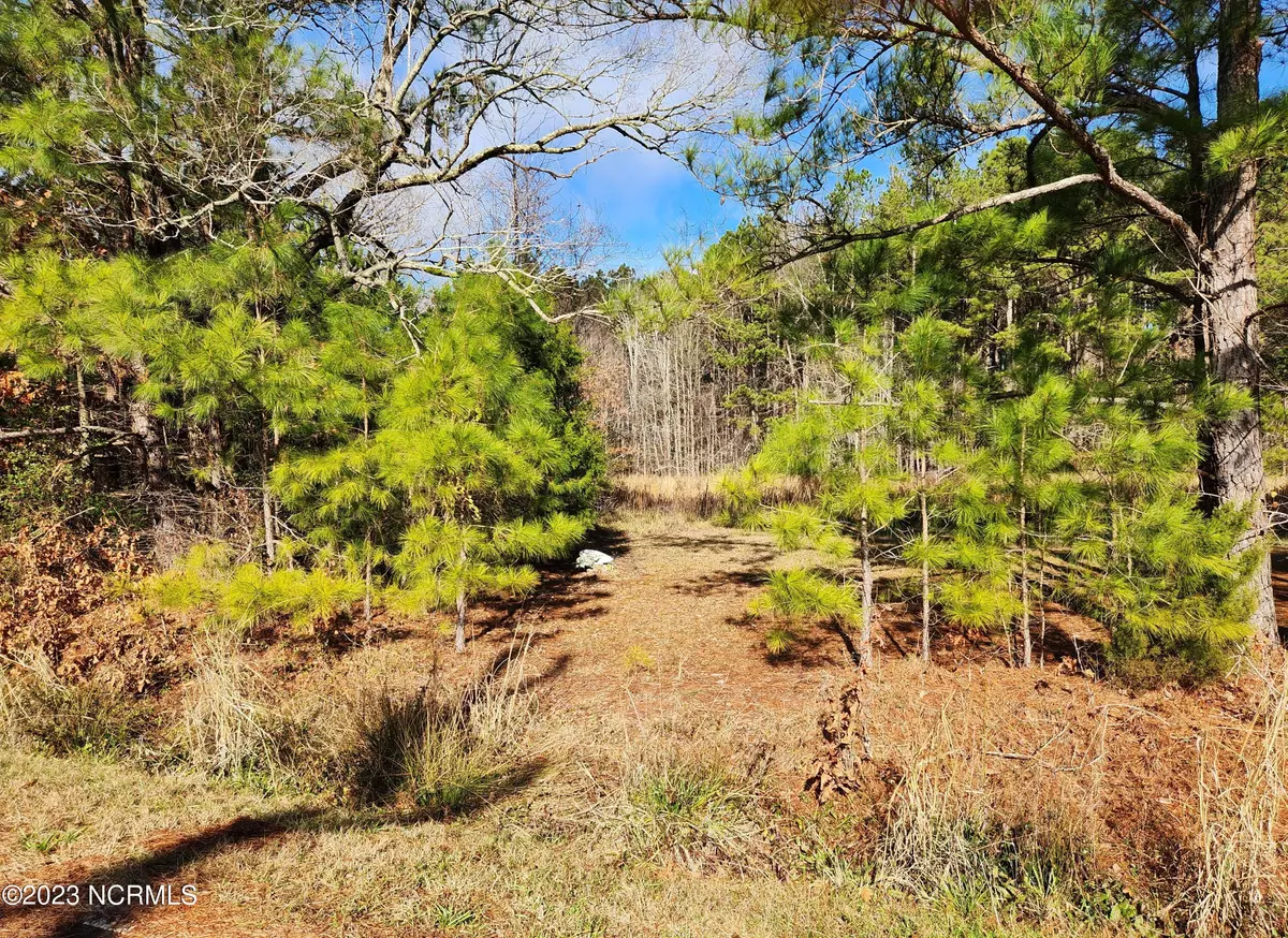 Windsor, NC 27983,118 Beacon Light Church RD