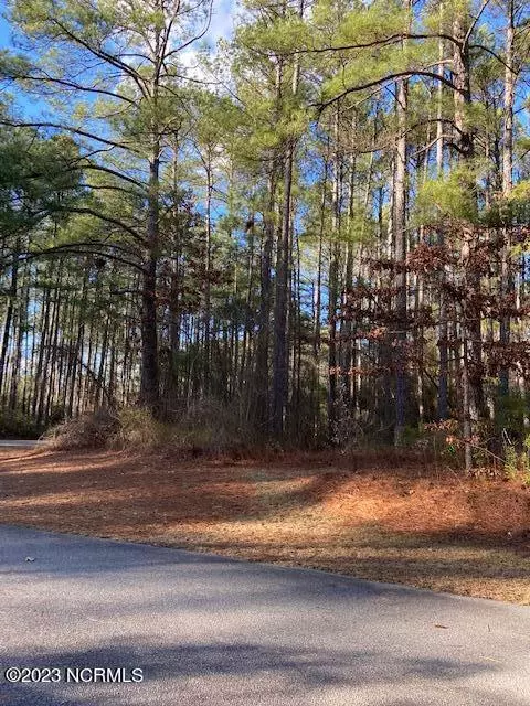 Wagram, NC 28396,21 Loblolly Court