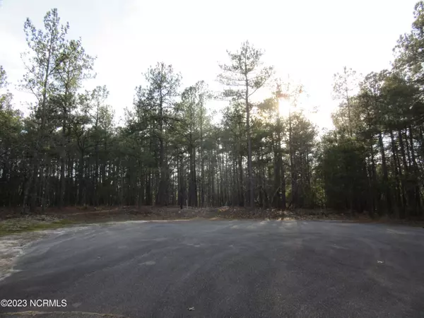 Wagram, NC 28396,Lot 39 Fox LN