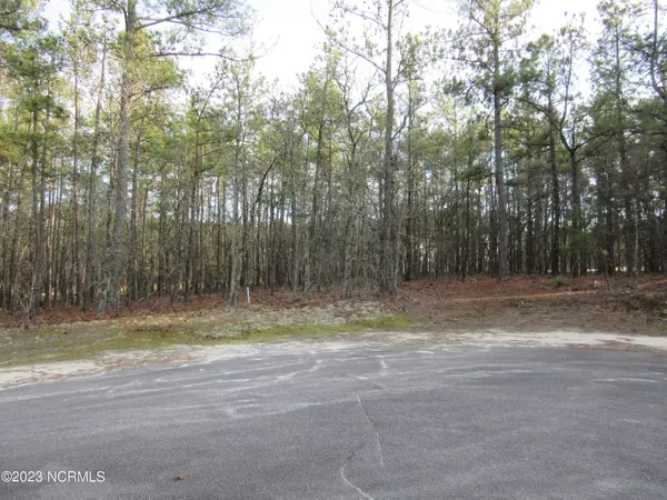 Wagram, NC 28396,Lot 40 Fox LN