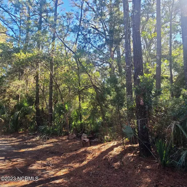 Bald Head Island, NC 28461,5 Gray Fox Court