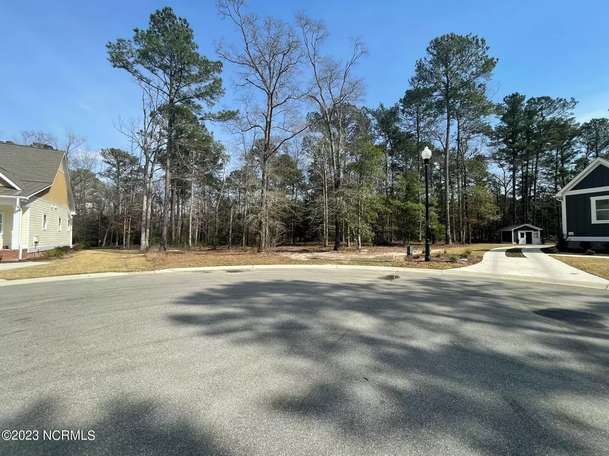 Leland, NC 28451,3810 Cherry Heron Court NE