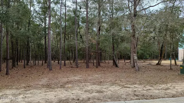 Supply, NC 28462,1099 Ferry Landing DR SW