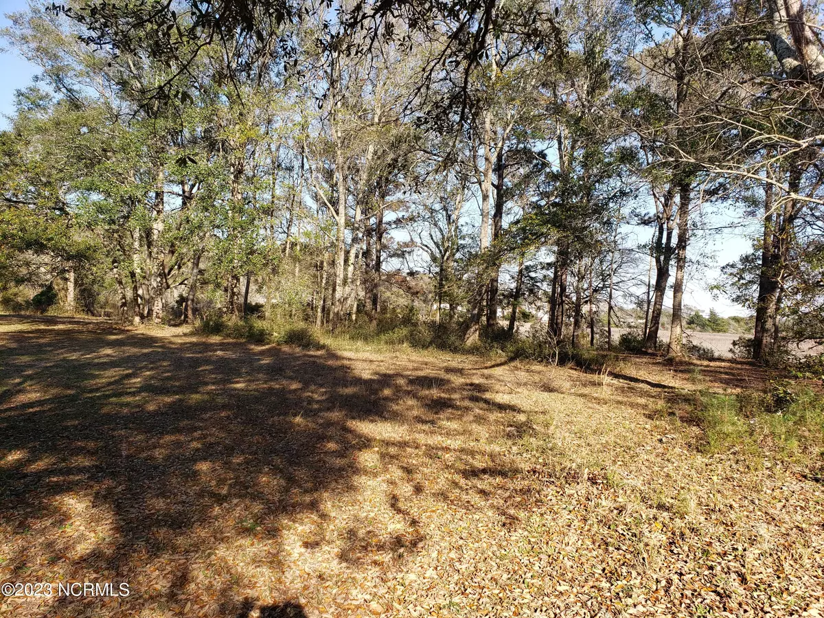 Shallotte, NC 28470,1690 Long Shore DR SW