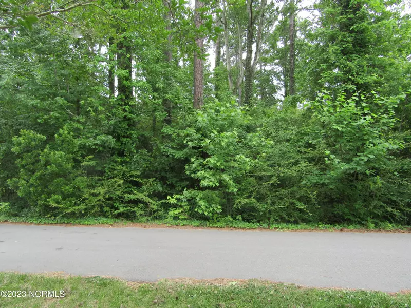 Lot 8 Quail DR, Plymouth, NC 27962