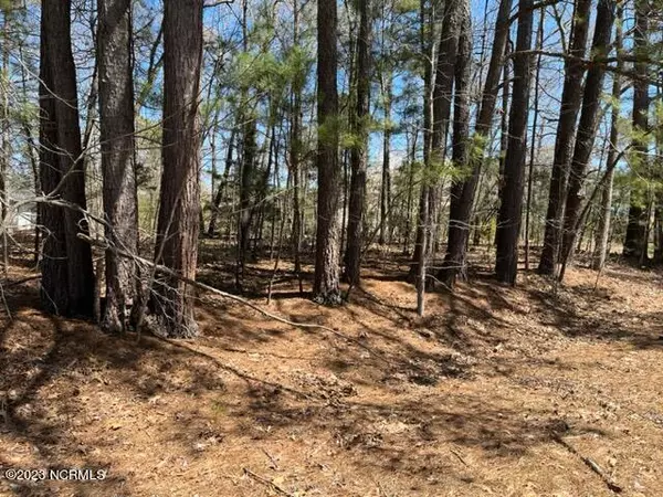 Nashville, NC 27856,Lot 11 Birchwood DR