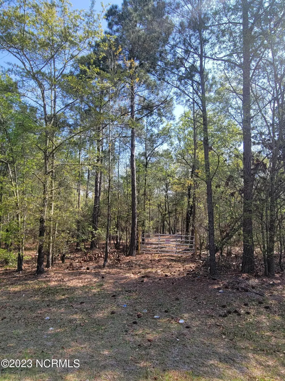 Ellerbe, NC 28338,718 Green Lake RD