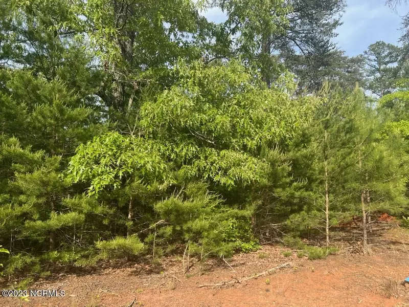 Lot# 96 Lakeview PASS, Rockingham, NC 28379