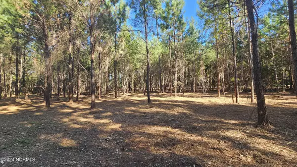 Aurora, NC 27806,22 Peterson Creek RD