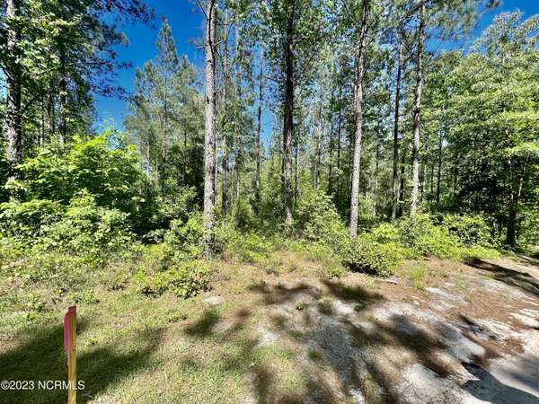 Tbd Chalk Fork RD, Rockingham, NC 28379