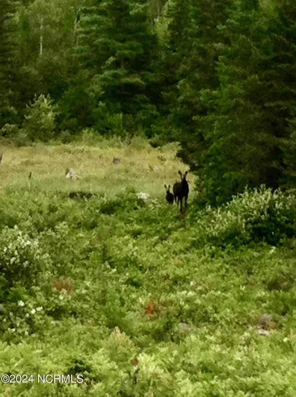 Cerro Gordo, NC 28430,Near 8755 Andrew Jackson HWY SW