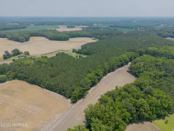 Whiteville, NC 28472,1529 Bill Hooks RD