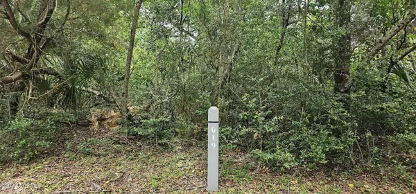 Bald Head Island, NC 28461,619 Wash Woods WAY