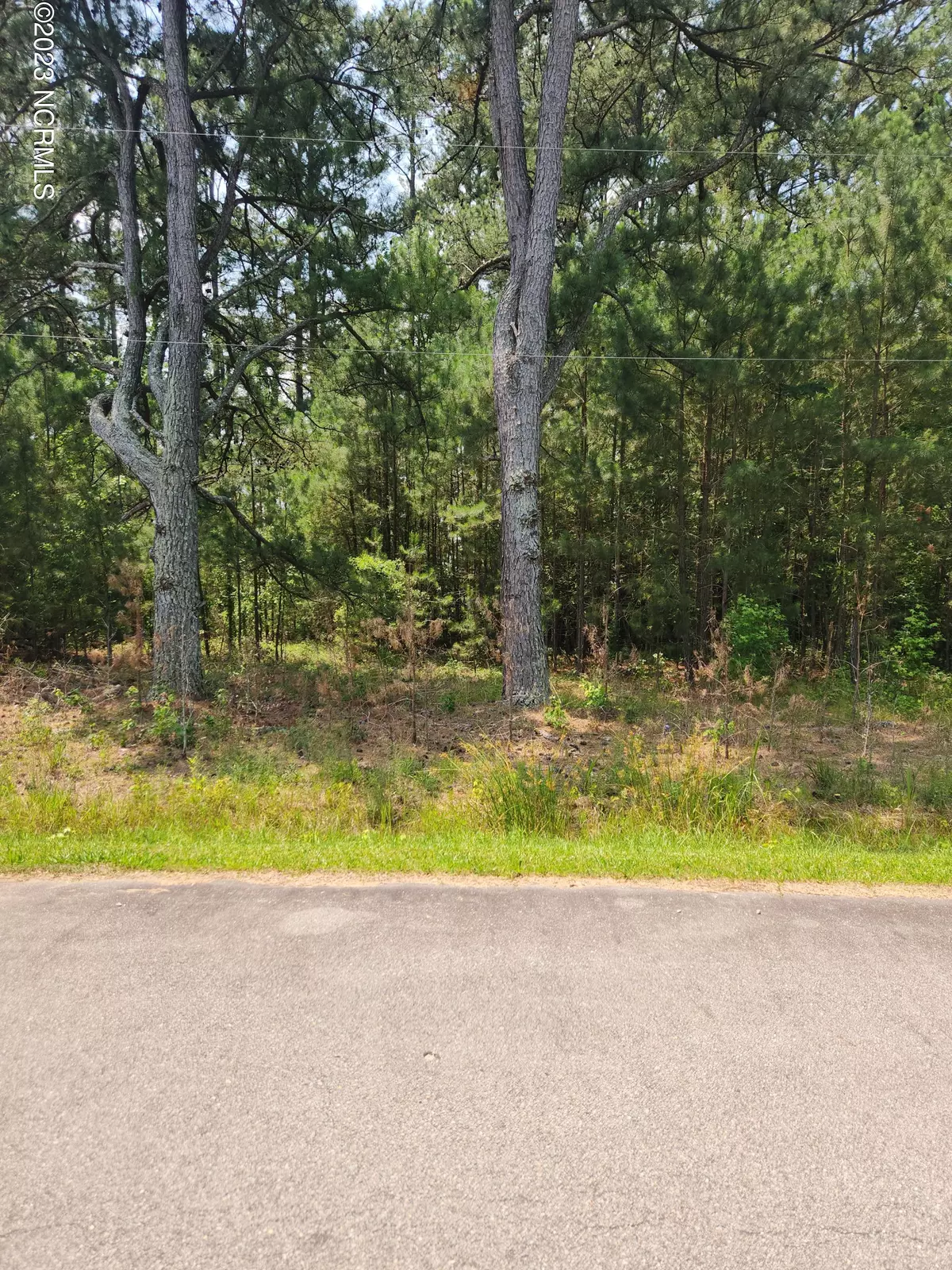 Rich Square, NC 27869,Lot 7 Maggett LN