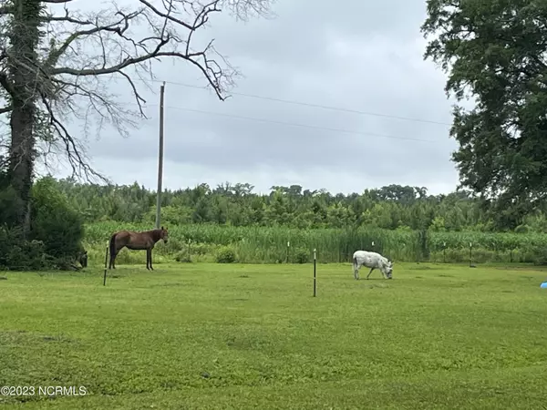 Grantsboro, NC 28529,1304 Scotts Store Road