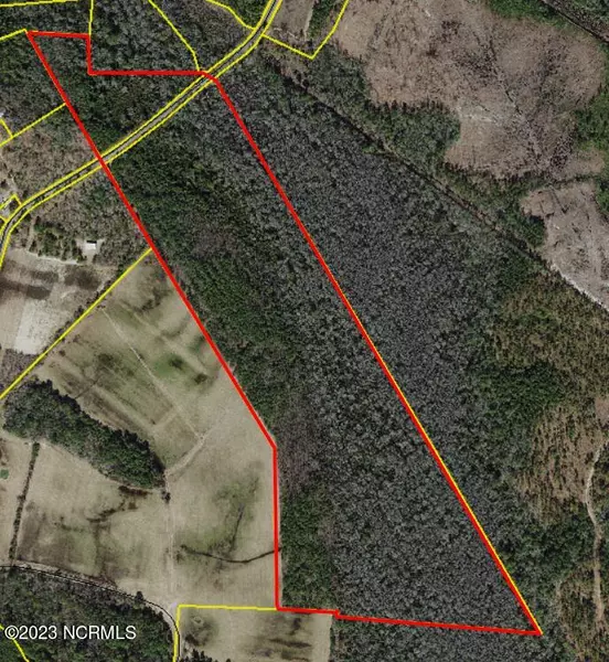 98 Acres Braxton Edge RD, Garland, NC 28441