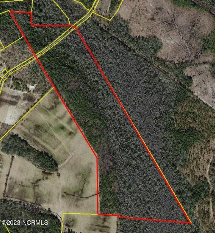 Garland, NC 28441,98 Acres Braxton Edge RD