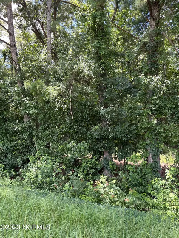 Elizabethtown, NC 28337,0 Dewitt Gooden RD