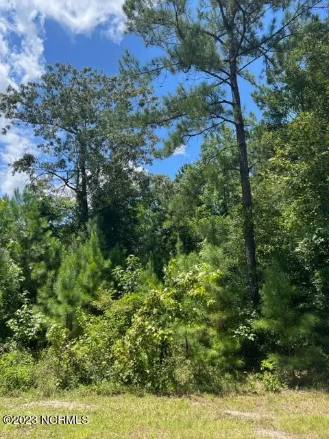 Leland, NC 28451,6681 Mossey Run DR NE