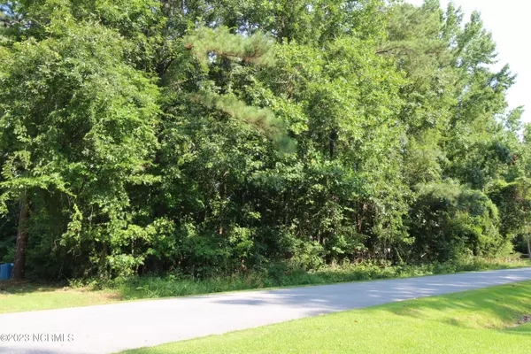 Lot 29 Dogwood DR, Hertford, NC 27944