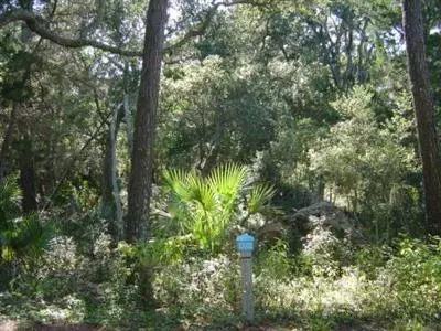 62 Dowitcher Trail, Bald Head Island, NC 28461