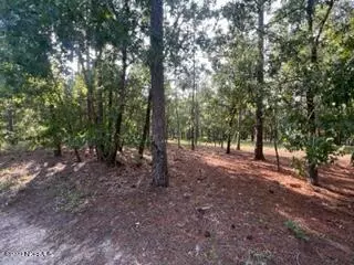 Bolivia, NC 28422,570 Del Sol CIR SE