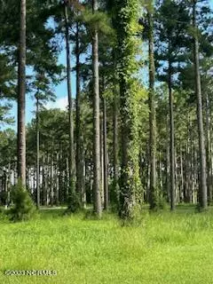 Oriental, NC 28571,96 278 Dawson Creek Blvd