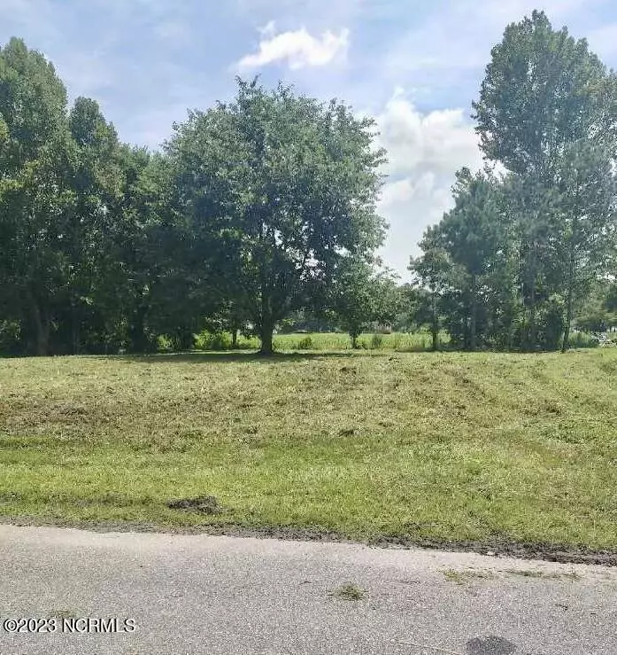 Tabor City, NC 28463,Lot D Near 243 Sanders ST