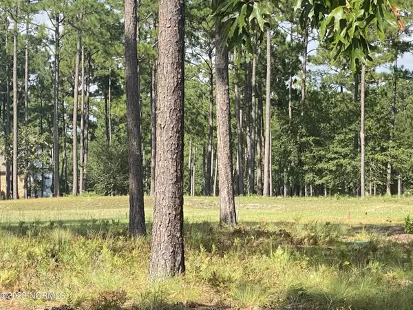 Shallotte, NC 28470,425 Laurel Valley DR