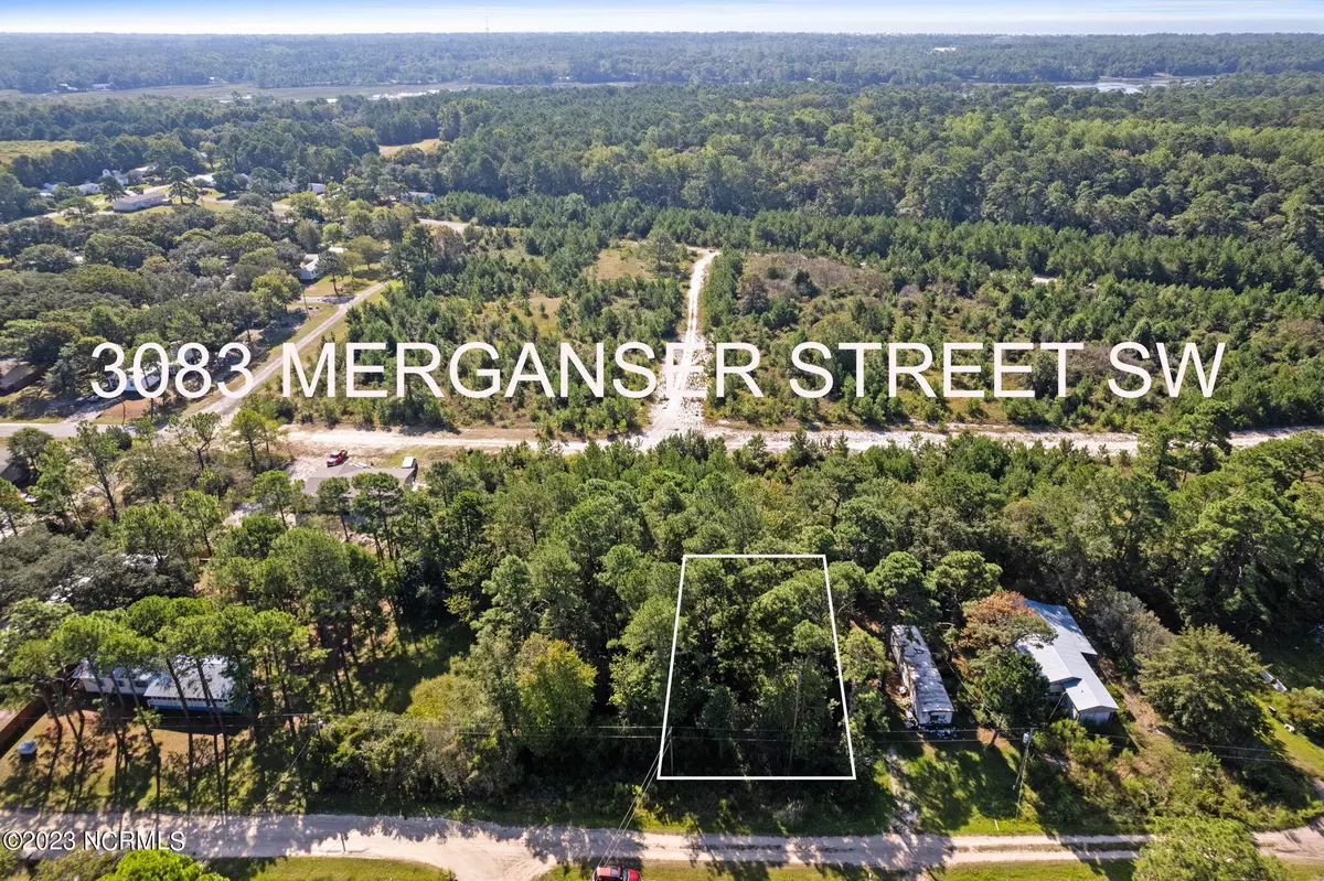 Shallotte, NC 28470,3083 Merganser ST SW