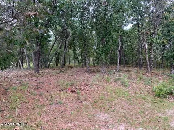 3049 River Hills DR SW, Shallotte, NC 28470