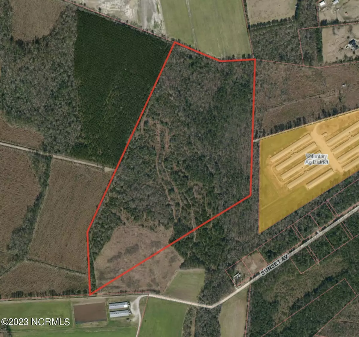 Willard, NC 28478,61.5 Acres Penderlea HWY