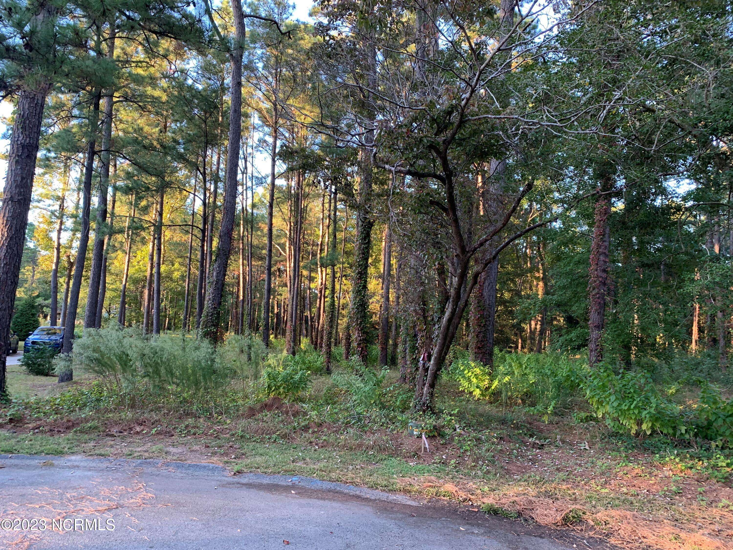 Bolivia, NC 28422,566 Captains CT SE