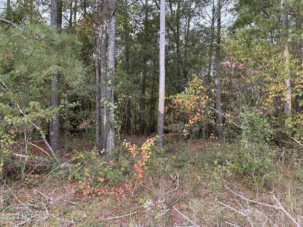 Tract 1 Matilda DR, Lumberton, NC 28360