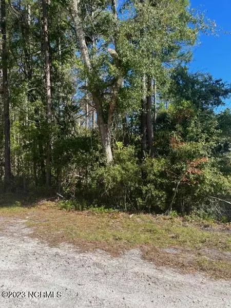 Lot 1 Raeford RD, Boiling Spring Lakes, NC 28461