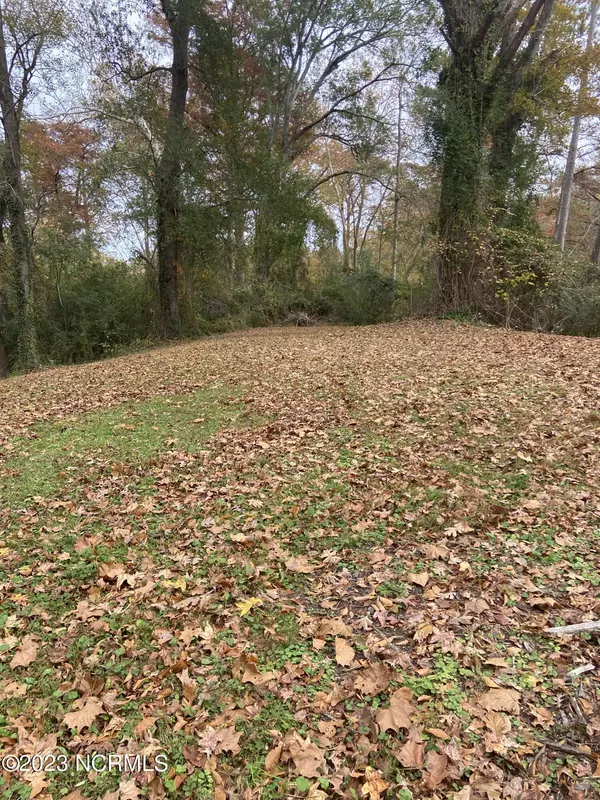 Vanceboro, NC 28586,Lot 64-67 White