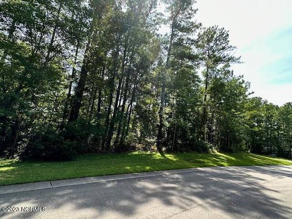 Leland, NC 28451,10196 Barley CT SE