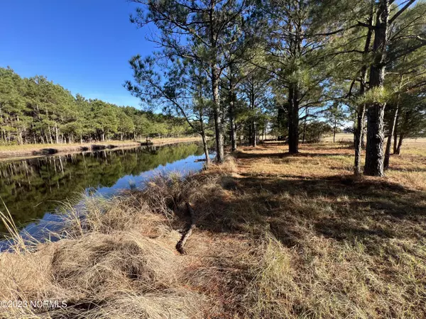 Belhaven, NC 27810,Lot 69 W Dowry Creek West CRK