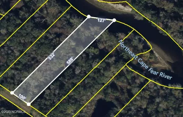 Burgaw, NC 28425,Lot 1 D E Marney Ext