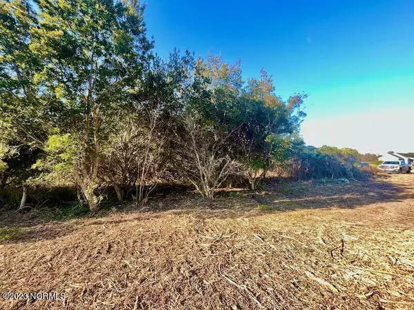 Engelhard, NC 27824,340 Lakeview RD