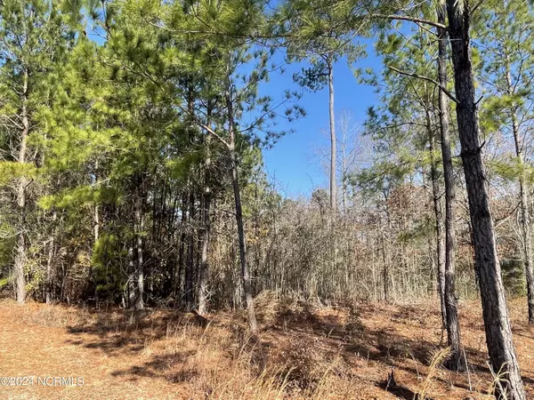 Leland, NC 28451,3772 Silver Melon RD NE