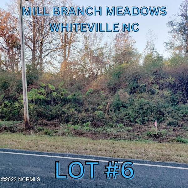 1818 Harrelsonville RD, Whiteville, NC 28472