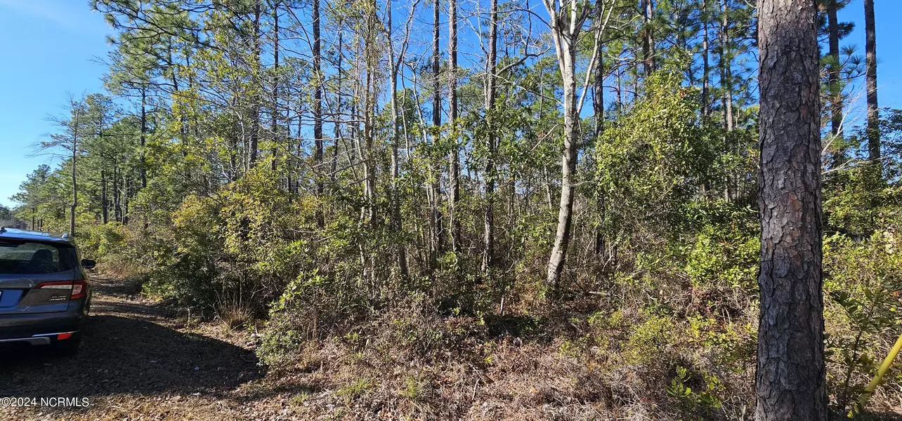 Lot 2 Maple RD, Boiling Spring Lakes, NC 28461