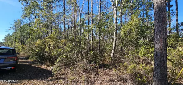 Boiling Spring Lakes, NC 28461,Lot 2 Maple RD