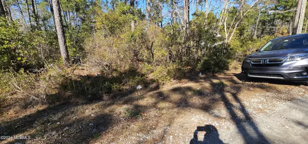 Boiling Spring Lakes, NC 28461,Lot 2 Maple RD