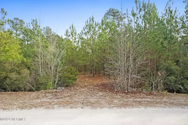 Tabor City, NC 28463,370 H Coleman LN
