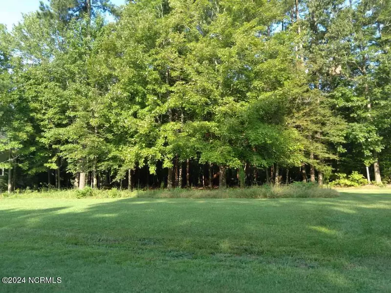 Lot 2 Meherrin River DR, Hertford, NC 27944