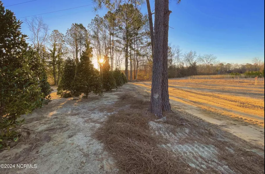 Lot 2 Rays Bridge RD, Whispering Pines, NC 28327