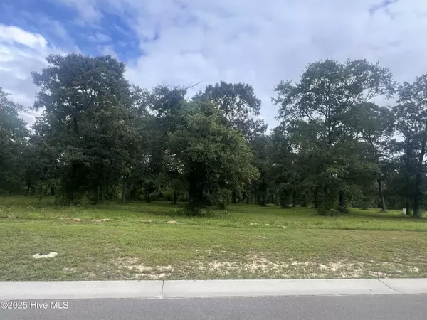Leland, NC 28451,9136 Fallen Pear LN NE